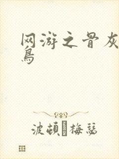 网游之骨灰级菜鸟