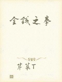 金钱之拳