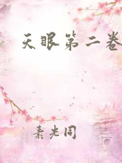 天眼第二卷