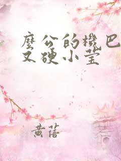 么公的机巴又粗又硬小莹