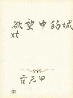 欲望中的城市txt