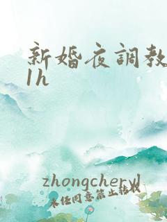 新婚夜调教1v1h