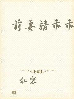 前妻请乖乖就范