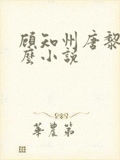 顾知州唐黎叫什么小说