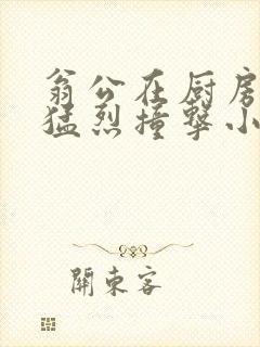 翁公在厨房和我猛烈撞击小说