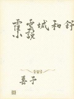 霍云城和舒情的小说