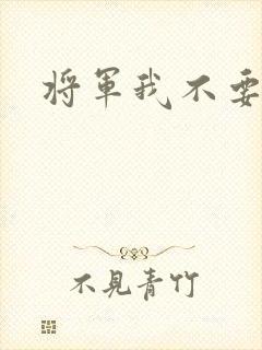 将军我不要你了