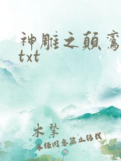 神雕之颠鸾倒凤txt