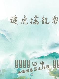 追虎擒龙粤语版