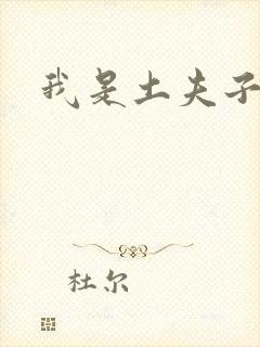 我是土夫子