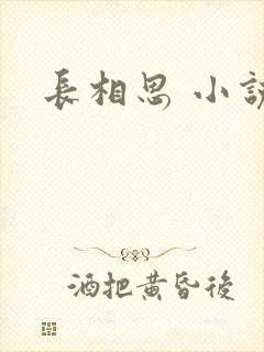 长相思 小说