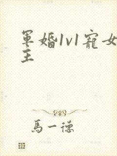 军婚1v1宠女主