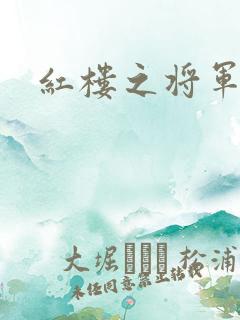 红楼之将军