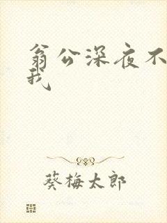 翁公深夜不停要我