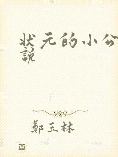 状元的小公主小说