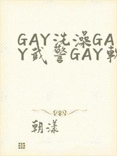 GAY洗澡GAY武警GAY软件