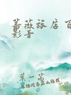 蔷薇旅店 百度影音