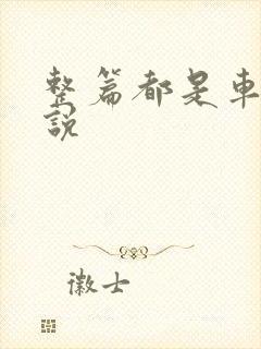 整篇都是车的小说