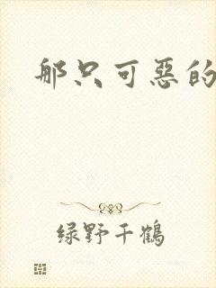 那只可恶的狐狸