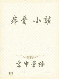 疼爱 小说