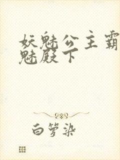 妖魅公主霸上邪魅殿下