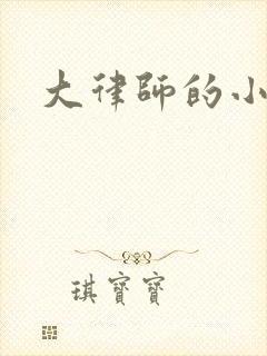 大律师的小老婆