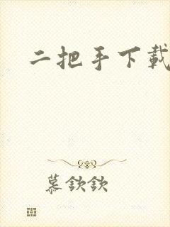 二把手下载