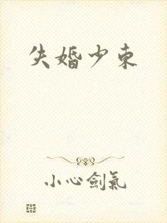 失婚少东