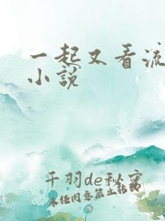 一起又看流星雨小说