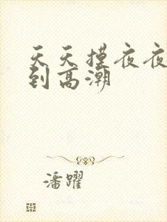 天天摸夜夜摸摸到高潮