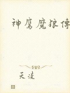 神鹰魔狼传