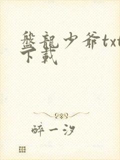 盘龙少爷txt下载