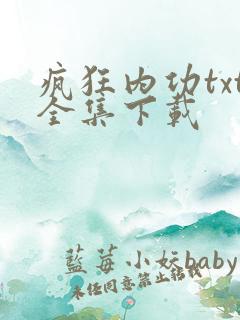 疯狂内功txt全集下载