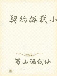 契约总裁小萌宝