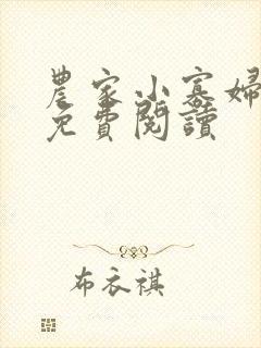 农家小寡妇全文免费阅读