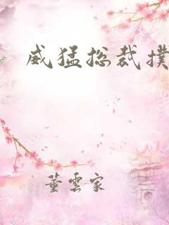 威猛总裁扑娇妻