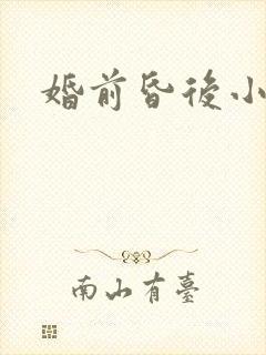婚前昏后小说