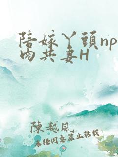 陪嫁丫头np全肉共妻H