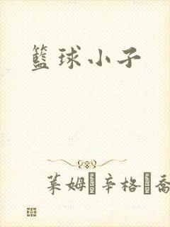 篮球小子