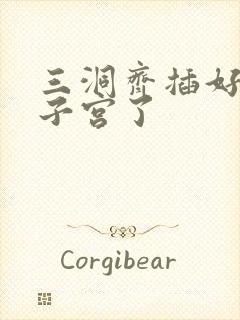 三洞齐插好深到子宫了