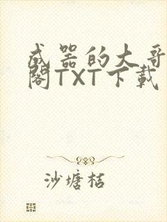 成器的大哥笔趣阁TXT下载