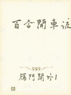 百合开车流污水