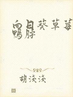 向日葵草莓丝瓜鸭脖