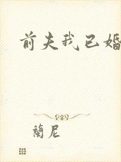 前夫我已婚