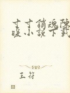 寸寸销魂陈聪王暖小说下载