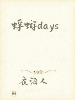 蜉蝣days