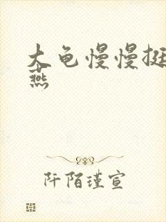 大龟慢慢挺进张燕