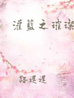 灌篮之璀璨生涯