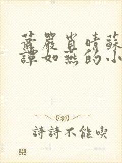 萧严肖晴苏雨溪谭如燕的小说