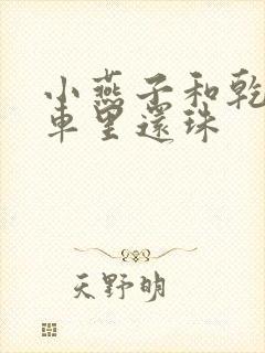 小燕子和乾隆在车里还珠